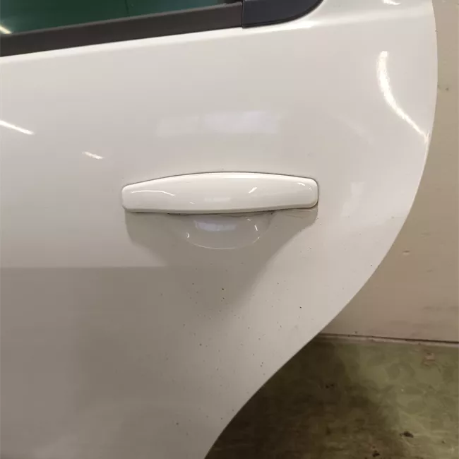 Porta posteriore sinistra