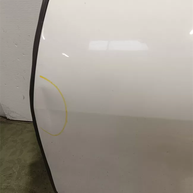 Porta posteriore sinistra