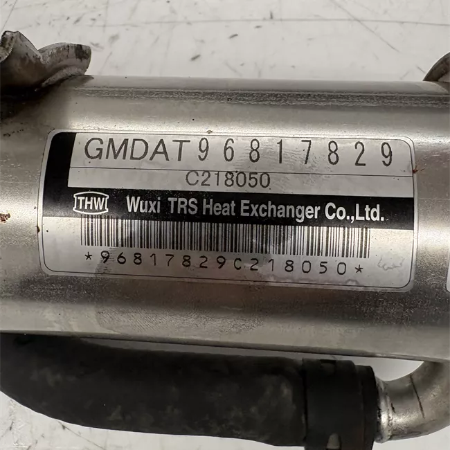 Scambiatore calore EGR