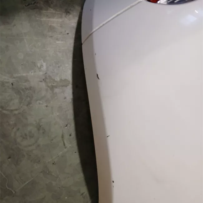 Paraurti posteriore con sensore parcheggio Primer