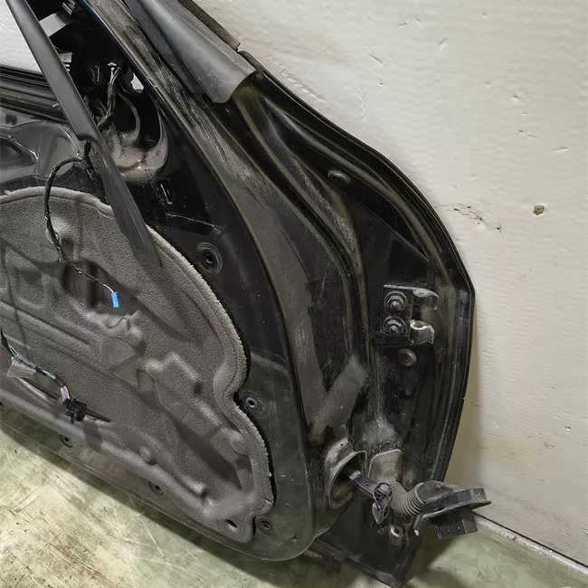 Porta anteriore sinistra