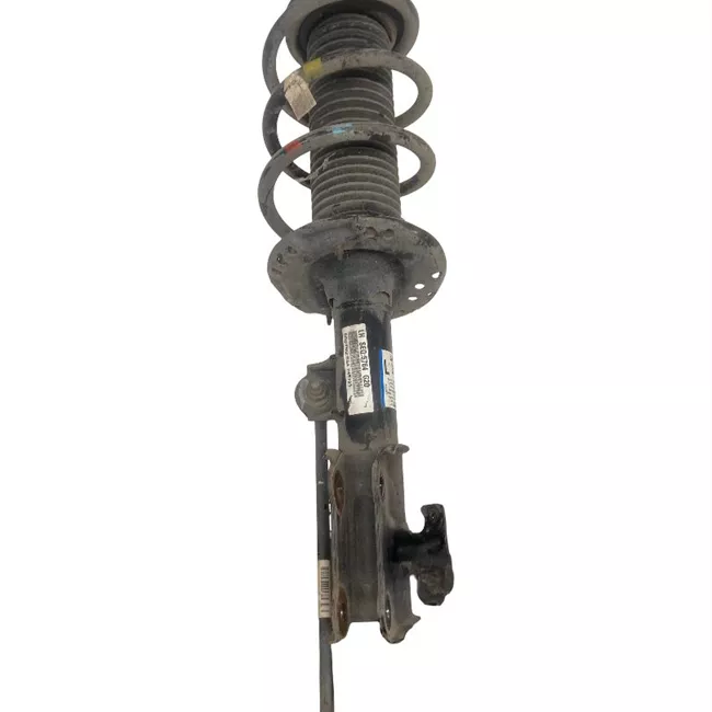 Ammortizzatore anteriore sinistro