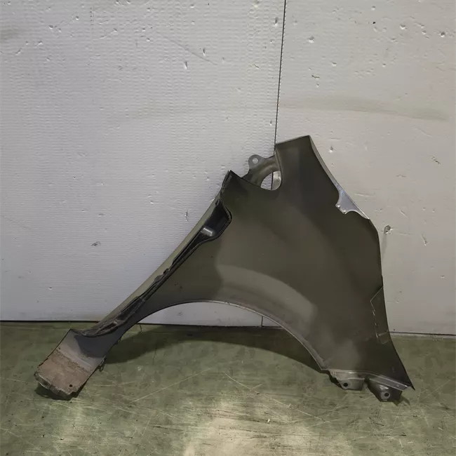 Parafango anteriore sinistro