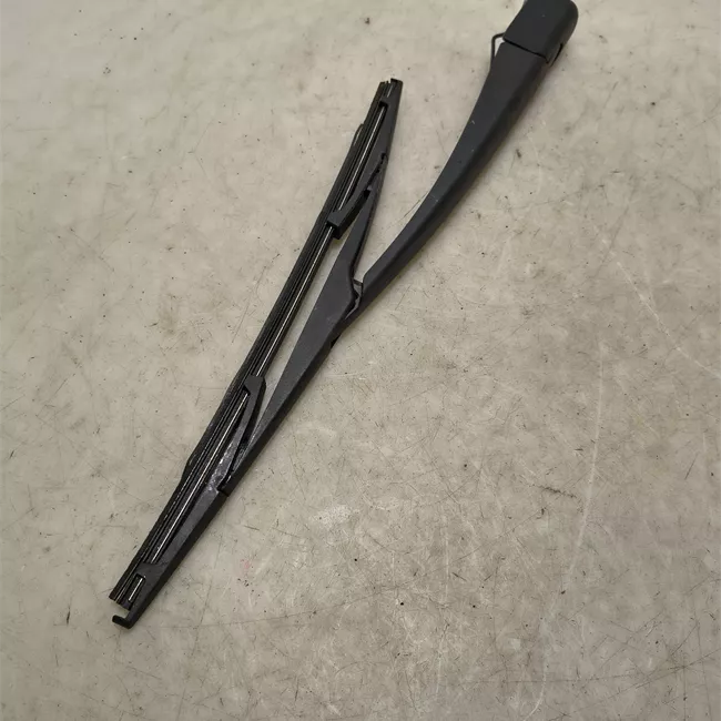 Braccio tergilunotto