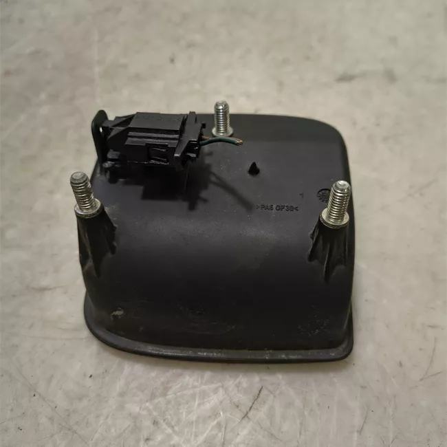 Maniglia portello posteriore con stemma posteriore