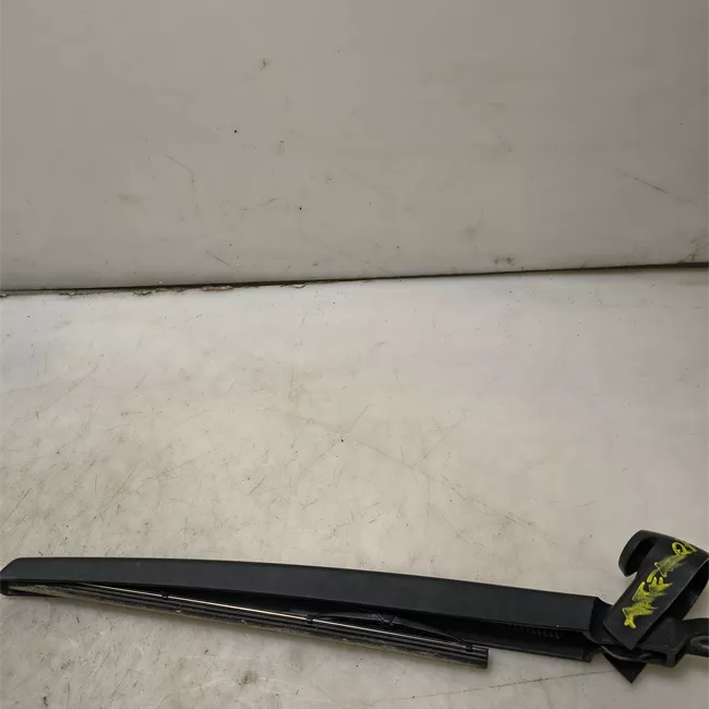 Braccio tergilunotto