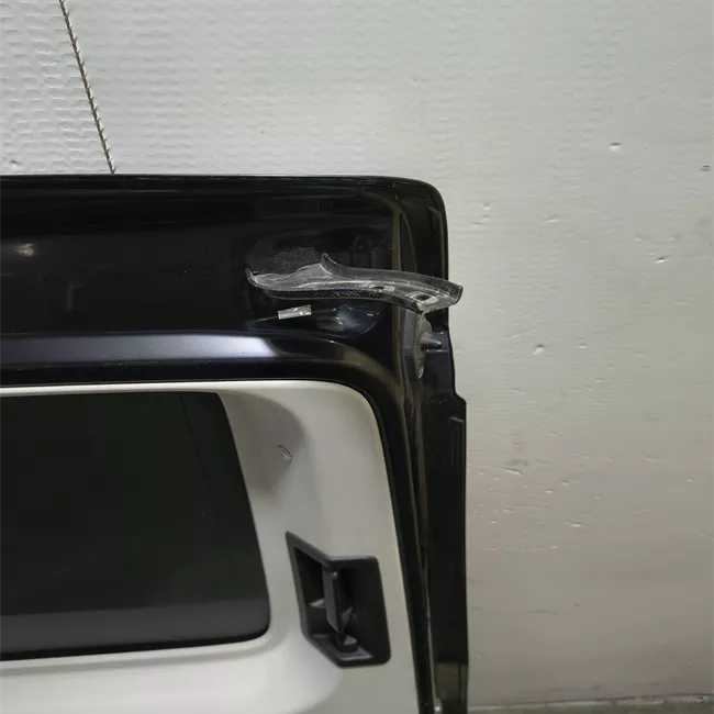 Porta posteriore sinistra