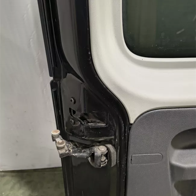 Porta posteriore sinistra