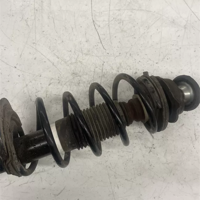 Ammortizzatore anteriore sinistro