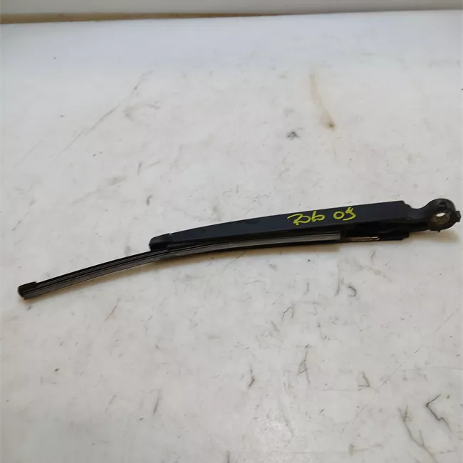 Braccio tergilunotto