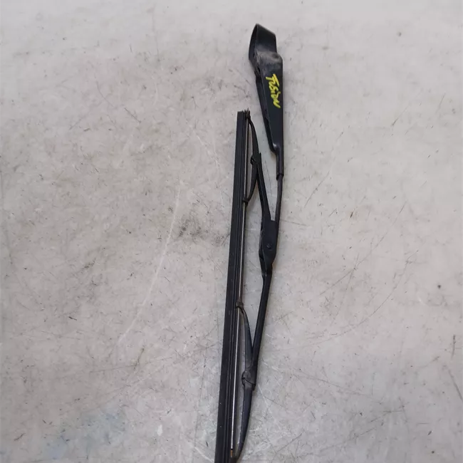 Braccio tergilunotto