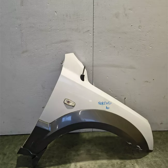 Parafango anteriore destro