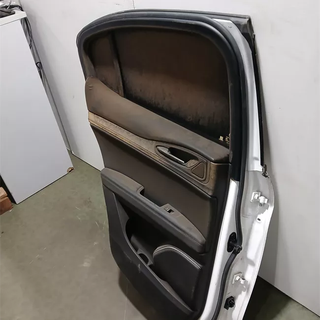 Porta posteriore sinistra