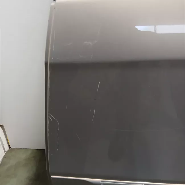 Porta posteriore sinistra