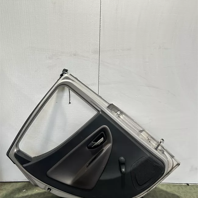 Porta posteriore sinistra