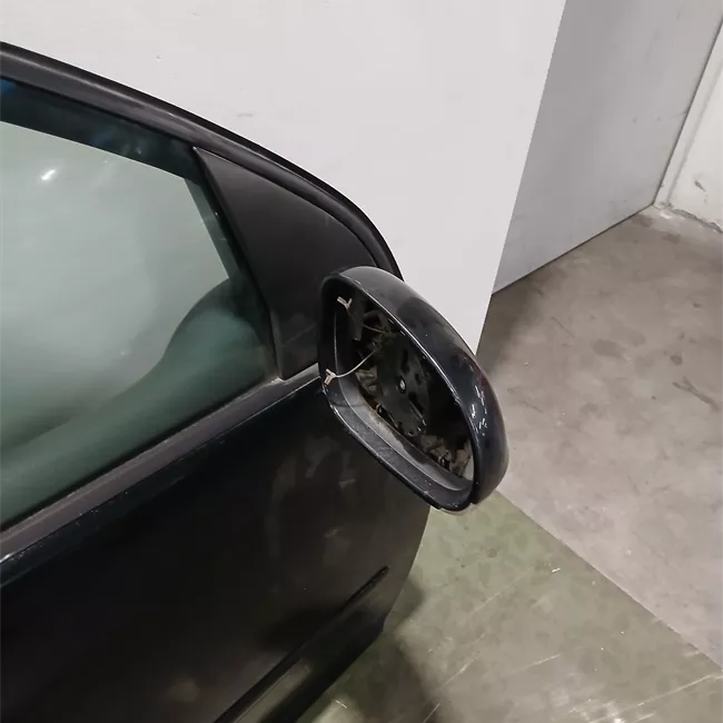 Pannello esterno porta anteriore destro