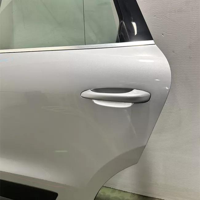 Porta posteriore sinistra primer