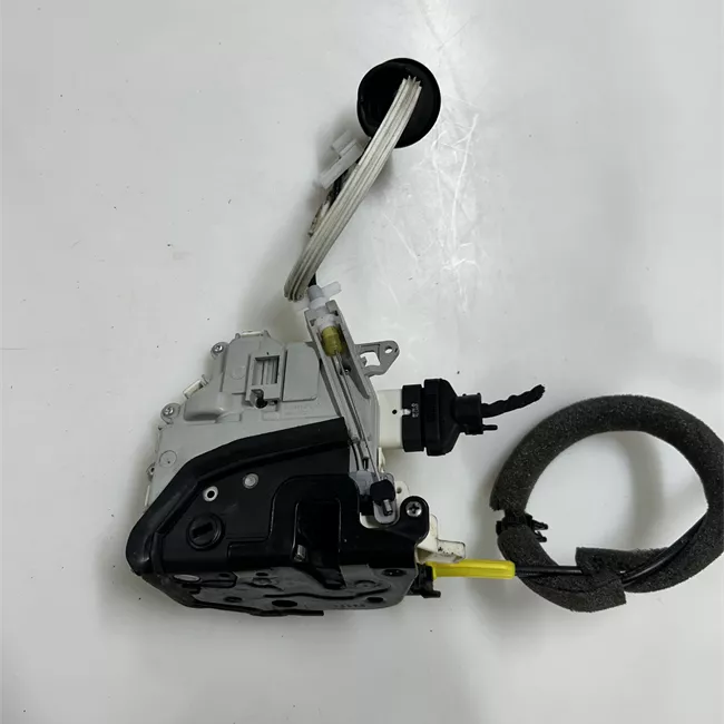 Serratura porta posteriore sinistra con impianto allarme