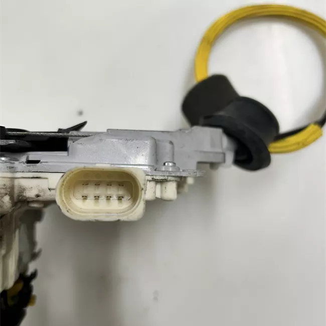 Serratura porta posteriore sinistra