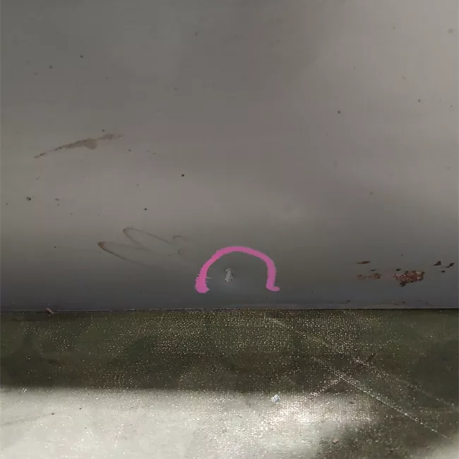 Porta anteriore sinistra