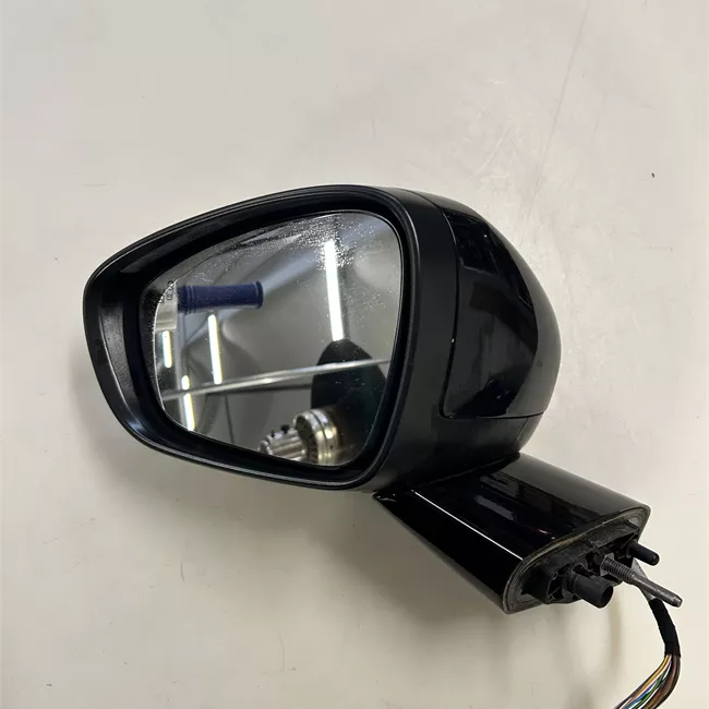 Retrovisore esterno regolazione elettrica sinistro Riporta elettrico con memoria/assistenzavista pan