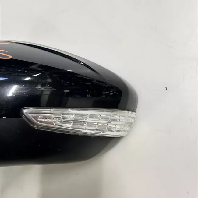 Retrovisore esterno regolazione elettrica sinistro Riporta elettrico con memoria/assistenzavista pan