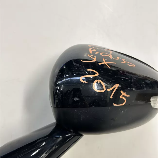 Retrovisore esterno regolazione elettrica sinistro Riporta elettrico con memoria/assistenzavista pan