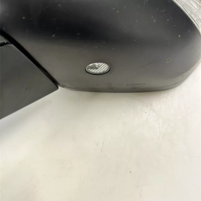 Retrovisore esterno regolazione elettrica sinistro Riporta elettrico con memoria/assistenzavista pan