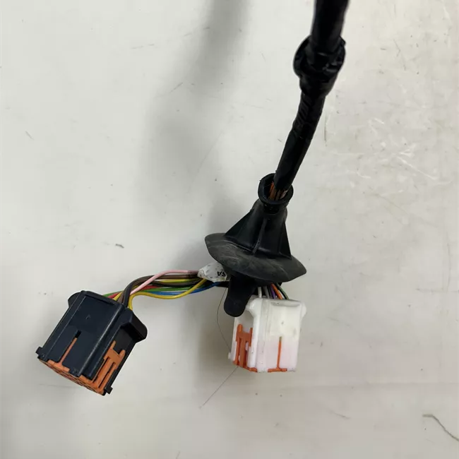 Retrovisore esterno regolazione elettrica sinistro Riporta elettrico con memoria/assistenzavista pan