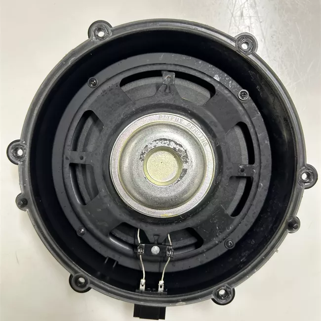Altoparlante porta anteriore sinistro