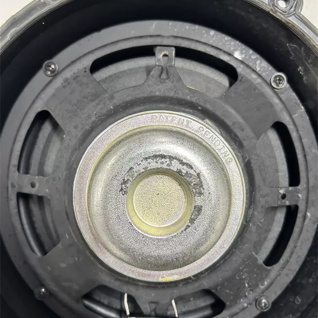 Altoparlante porta anteriore sinistro