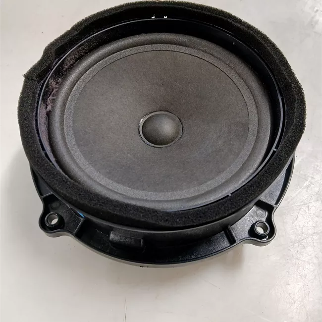 Altoparlante porta posteriore sinistro Bassi, sistema Audio 600W & 1280W