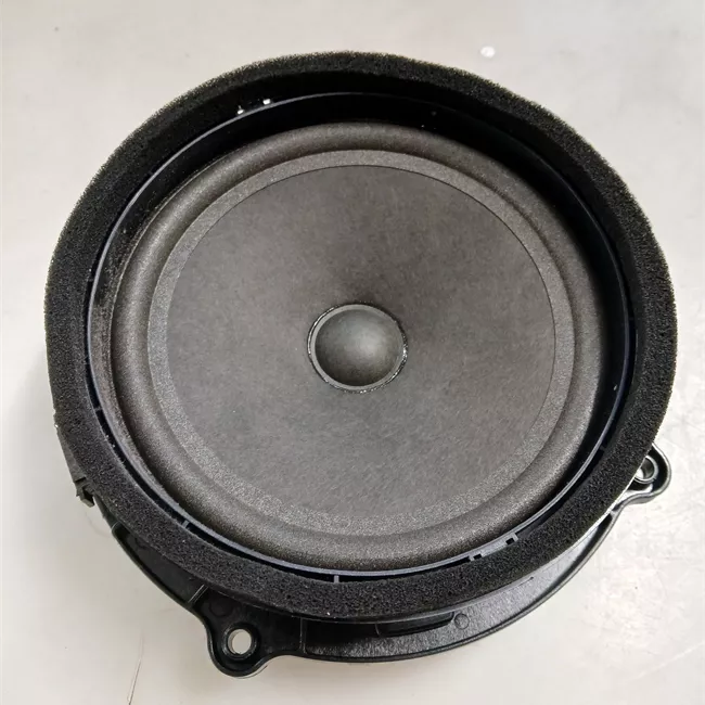 Altoparlante porta posteriore sinistro Bassi, sistema Audio 600W & 1280W