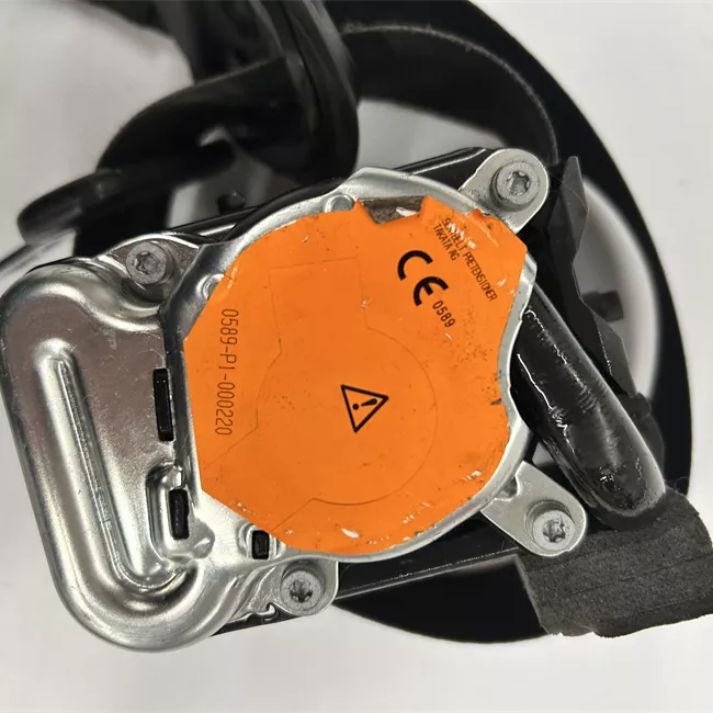 Cintura di sicurezza posteriore sinistra nero