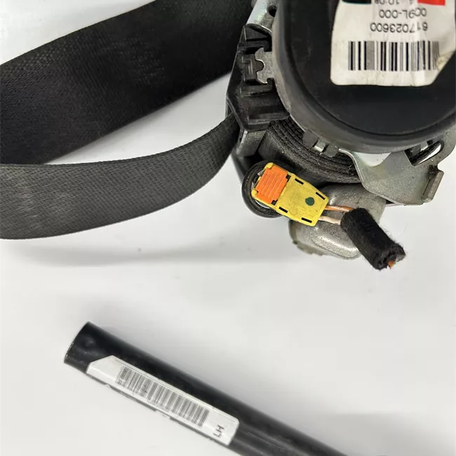 Cintura di sicurezza anteriore sinistra