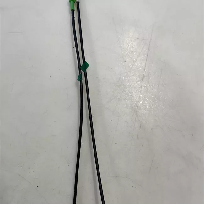 Serratura porta posteriore sinistra con chiusura centralizzata