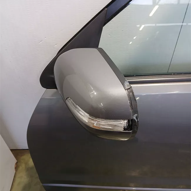 Porta anteriore sinistra con fascioni