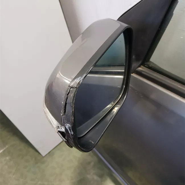 Porta anteriore sinistra con fascioni