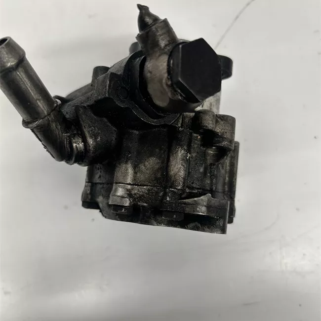 Pompa servosterzo con supporto