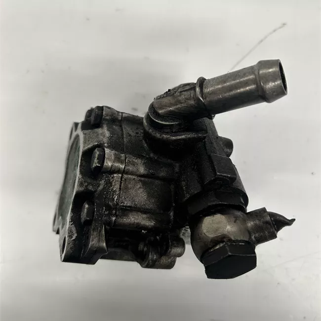 Pompa servosterzo con supporto