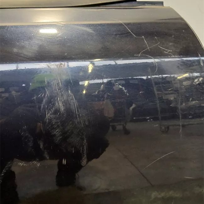 Porta posteriore destra