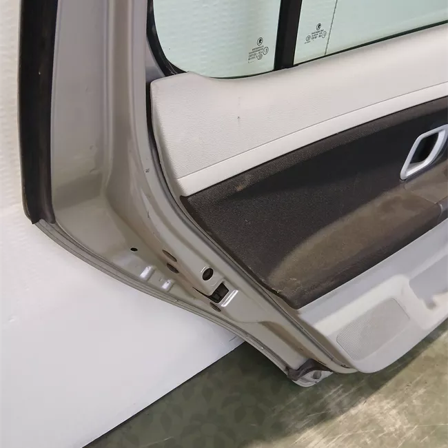 Porta posteriore sinistra