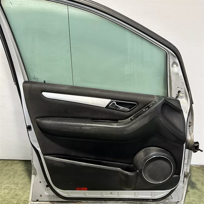 Porta anteriore sinistra