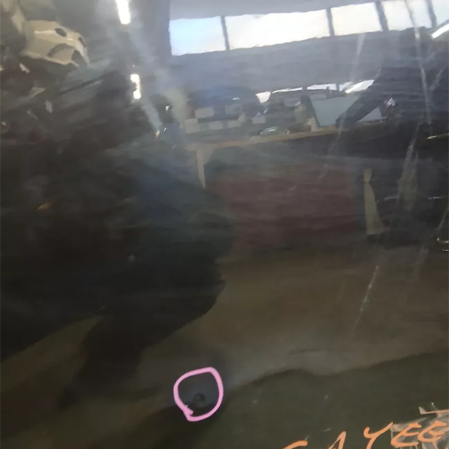 Porta posteriore destra