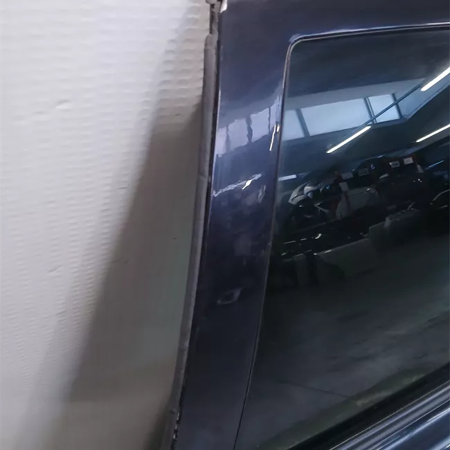 Porta posteriore sinistra