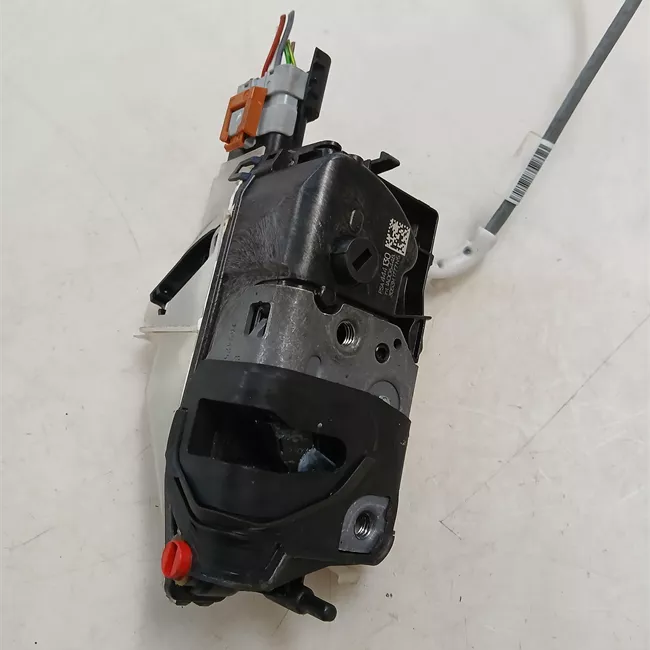 Serratura porta posteriore sinistra