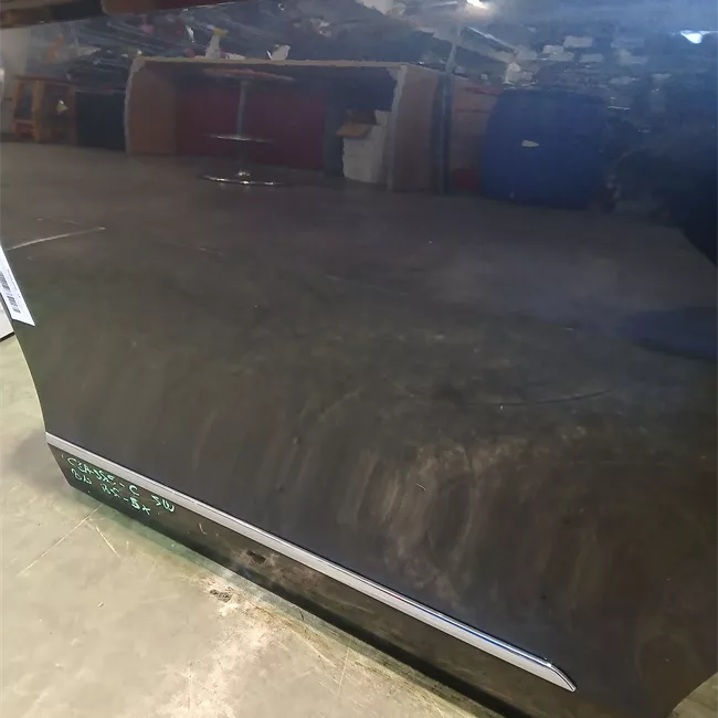 Porta posteriore sinistra