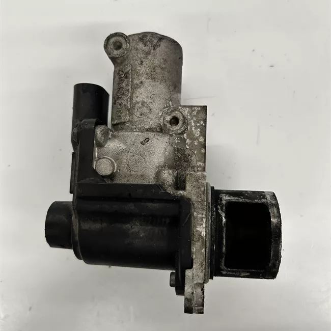Valvola EGR