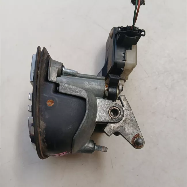 Maniglia portello posteriore