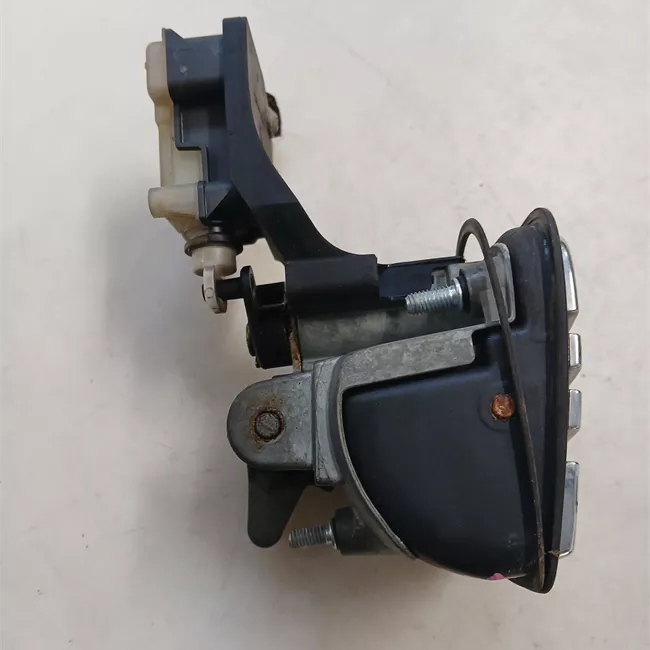 Maniglia portello posteriore